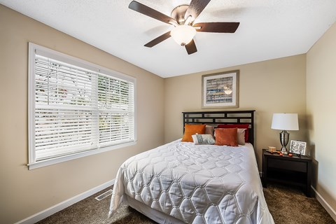 A bedroom with a bed, a ceiling fan, and a nightstand with a lamp.