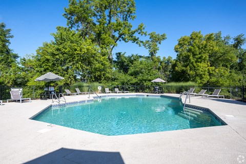 A large outdoor swimming pool surrounded by trees and lounge chairs.