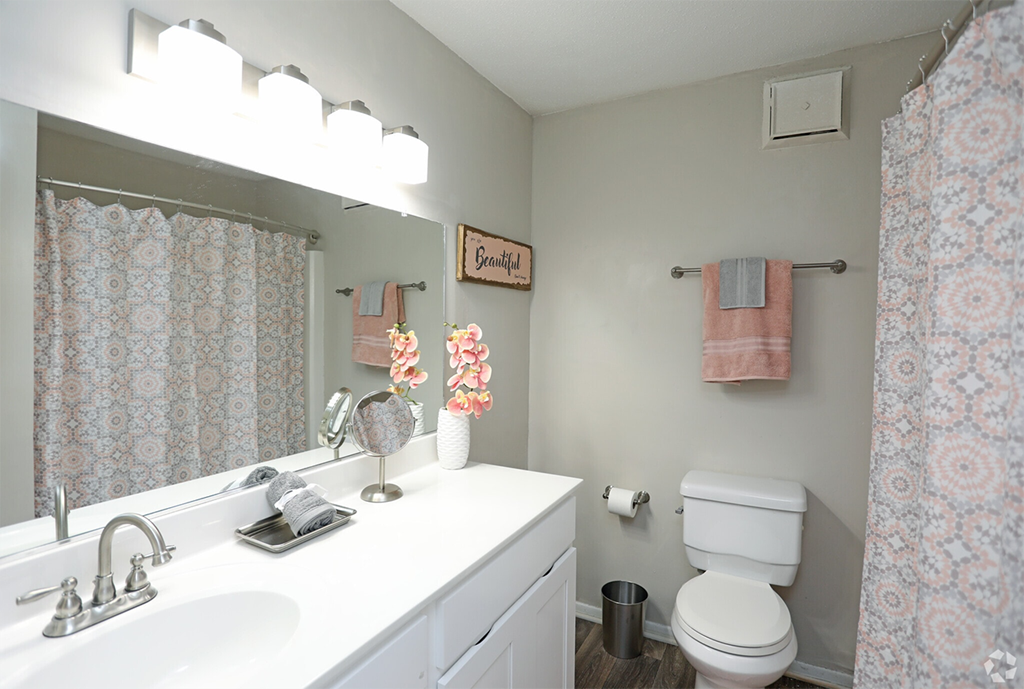 a bathroom with a sink and a mirror and a shower