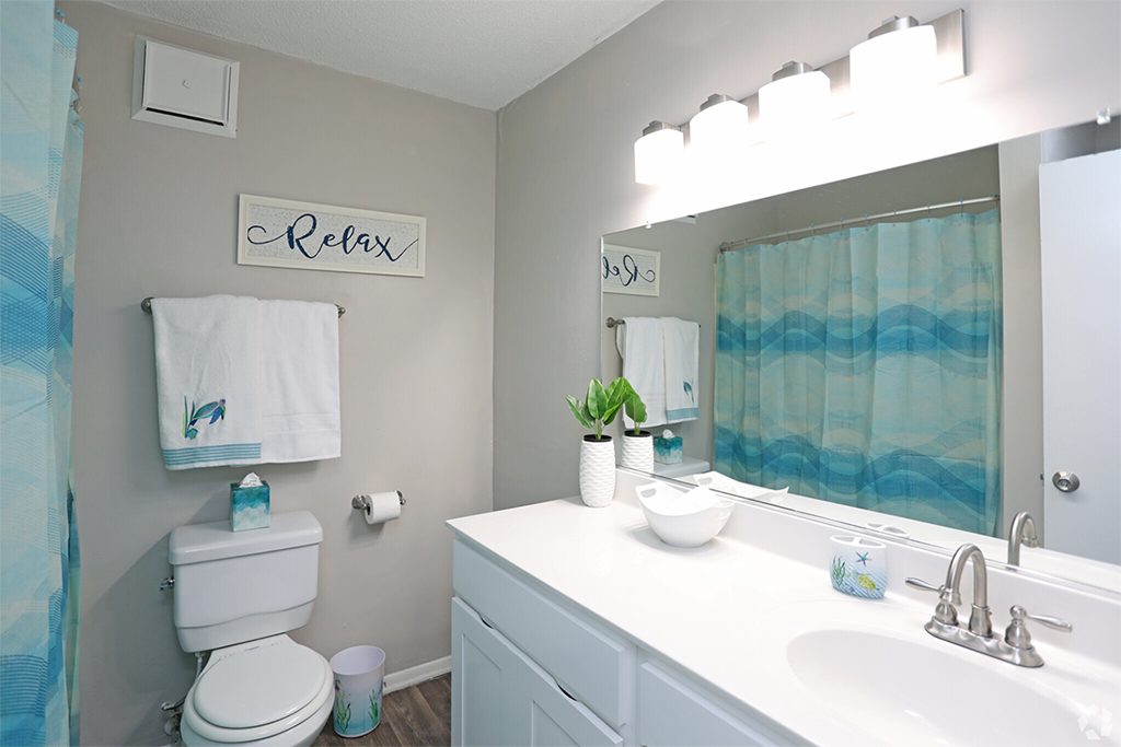 a bathroom with a sink and a toilet and a mirror