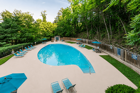 A large swimming pool surrounded by trees and deck chairs.