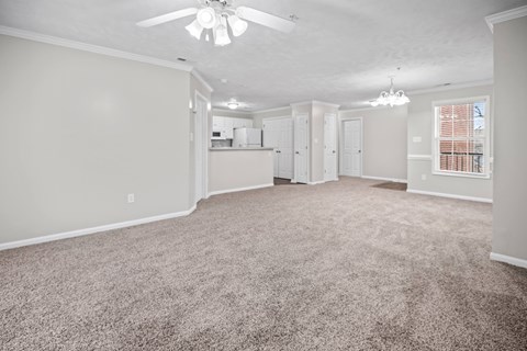 A spacious room with a ceiling fan and carpeted floor.