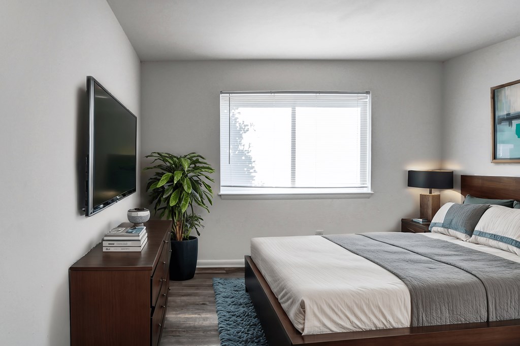 A bedroom with a bed, a television, a potted plant, and a lamp.