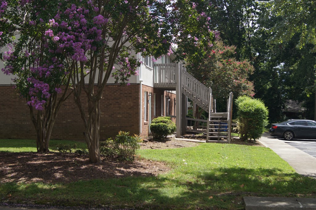 the front of a brick house with a staircase and a tree with purple flowers