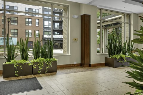 A hallway with a planted planter on the floor.