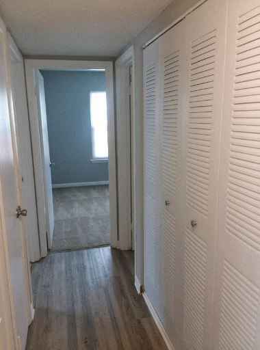 a hallway with white shuttered closet doors in a room