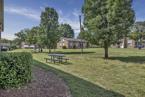 A park with a picnic table and a tree.