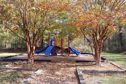 A playground with a blue slide and yellow play equipment surrounded by trees with orange leaves.