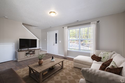 A living room with a couch, a coffee table, and a television.