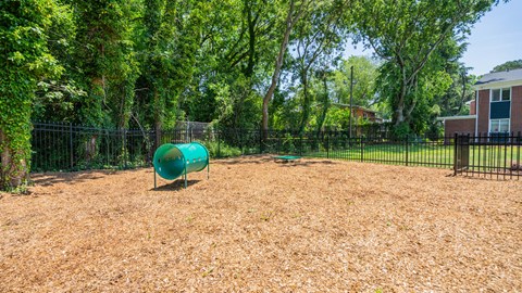 Fenced dog park with agility equipment at Jefferson Flats.