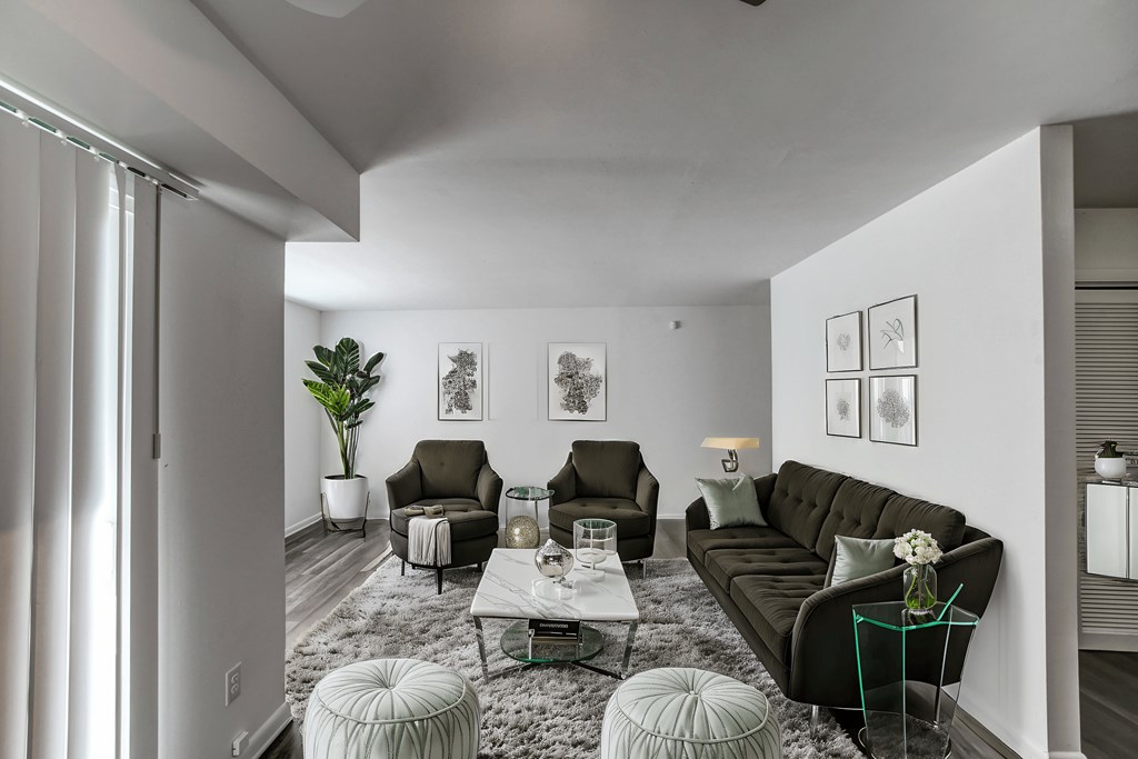 A living room with a grey couch, a glass table, and a plant.