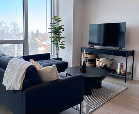 A living room with a dark blue sofa and a black coffee table.