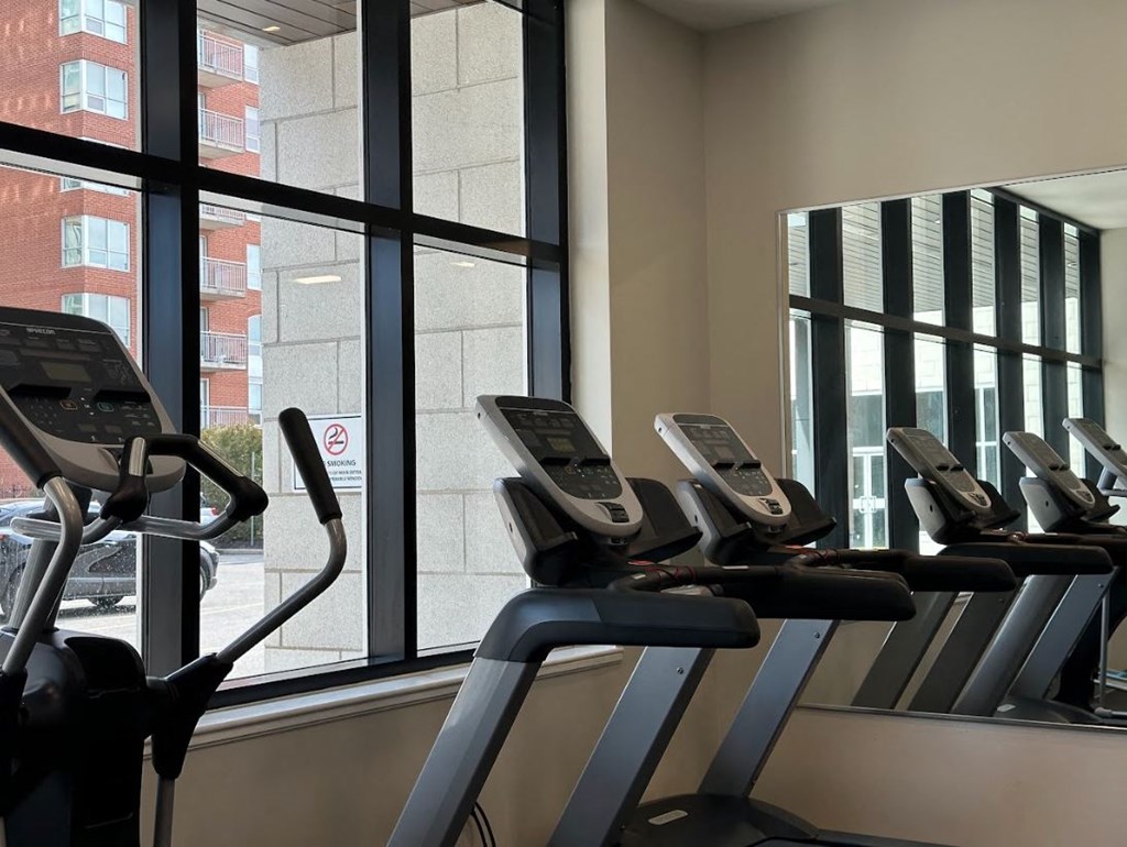 a gym with cardio machines and large windows