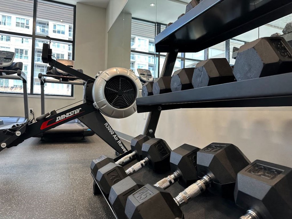 a gym with weights and a plane on the floor