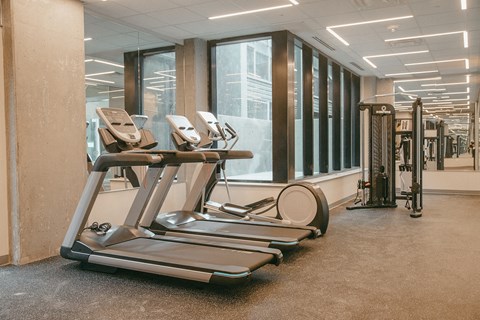 Loop Amenities