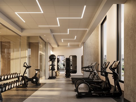 A gym with treadmills, elliptical machines, and dumbbells.
