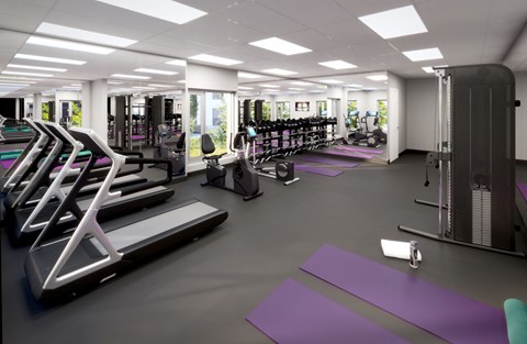 A gym with treadmills, weights, and yoga mats.