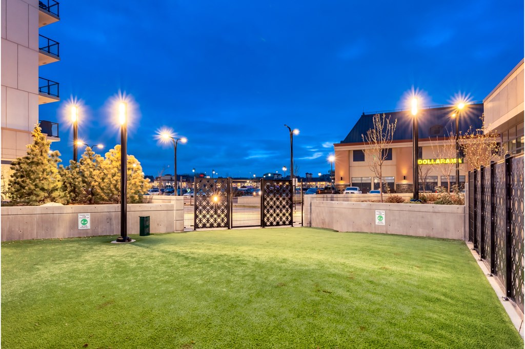 A grassy area with lights and a fence in the background.