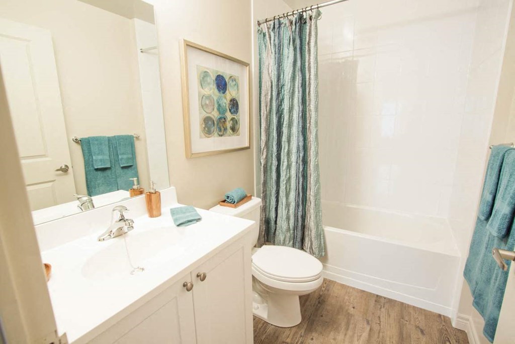 a bathroom with a sink and a toilet and a shower