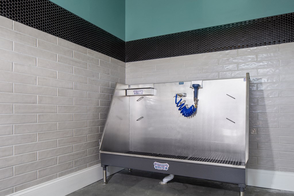 Pet Wash at The Matadora, Georgia, 21995