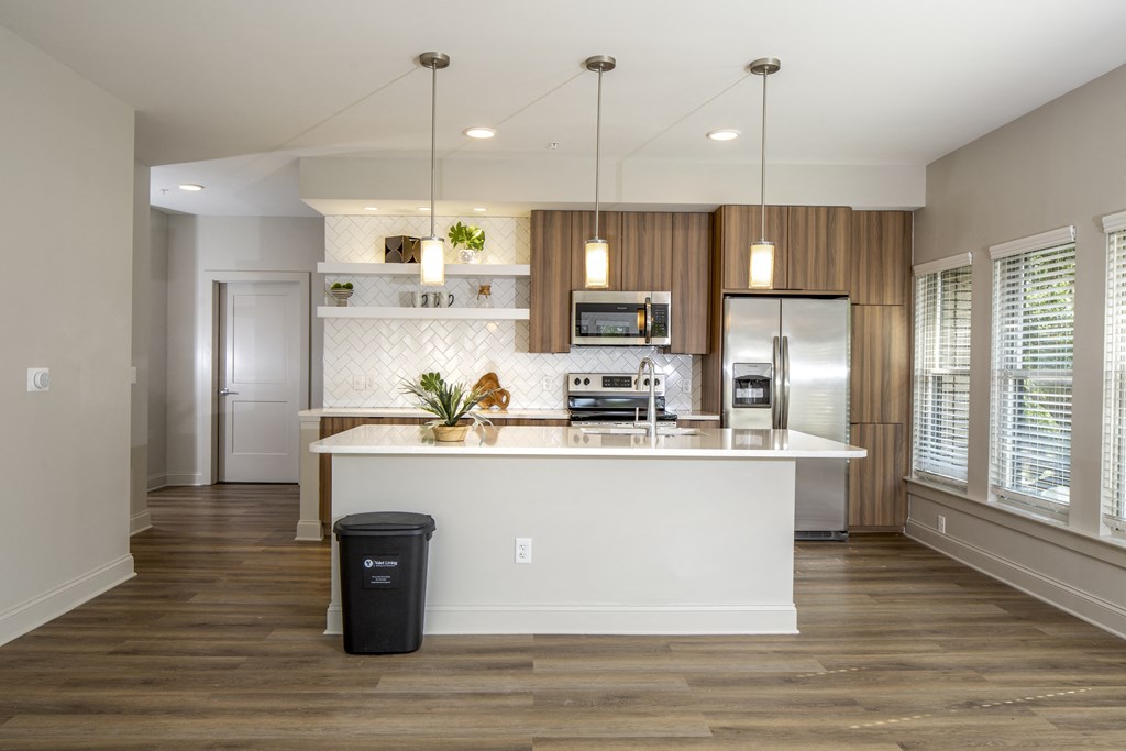 Modern Kitchen at The Matadora, Georgia, 21995