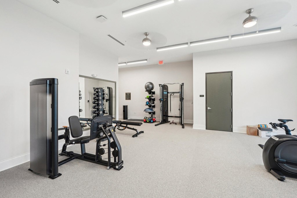 A gym with a variety of equipment including a treadmill, weights, and a bench press.