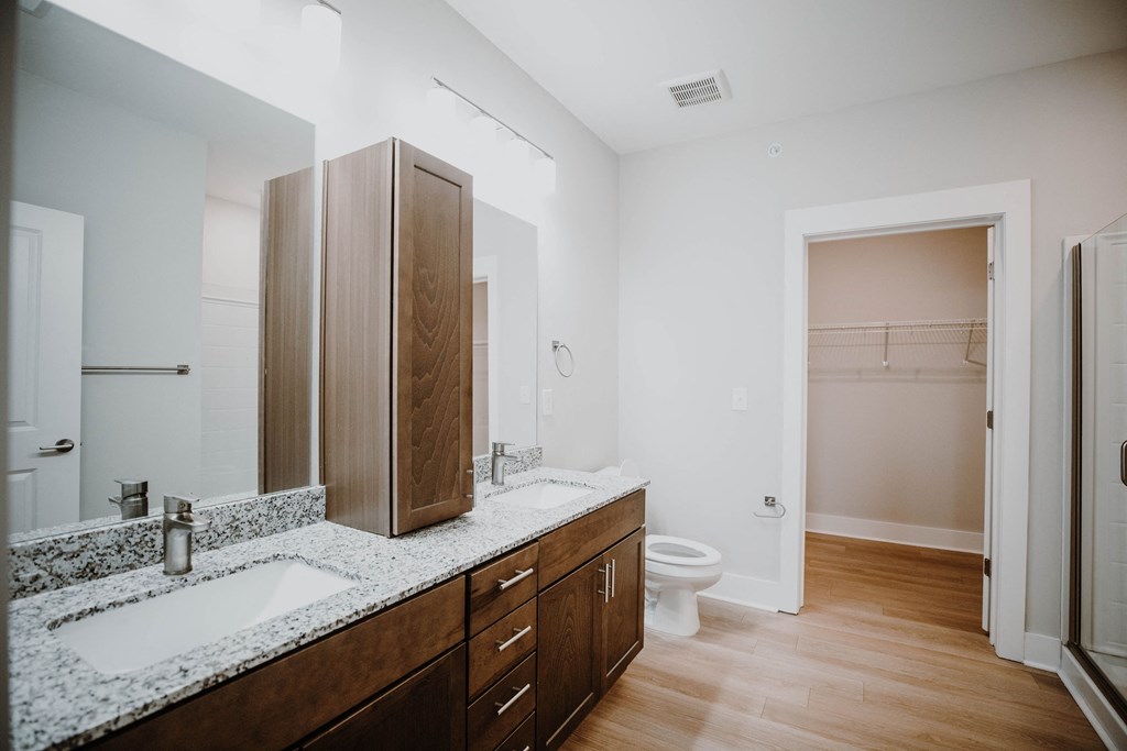 a bathroom with a sink and a mirror and a toilet