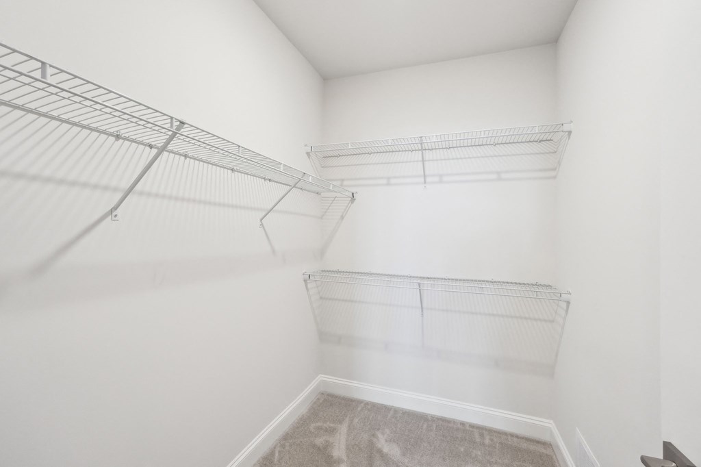 A white room with a grey carpet and metal shelving.