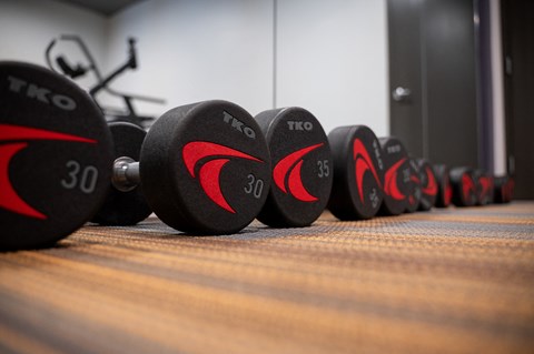 a row of dumbbells on the floor in a gym