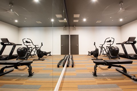 a row of exercise machines in a room with mirrors