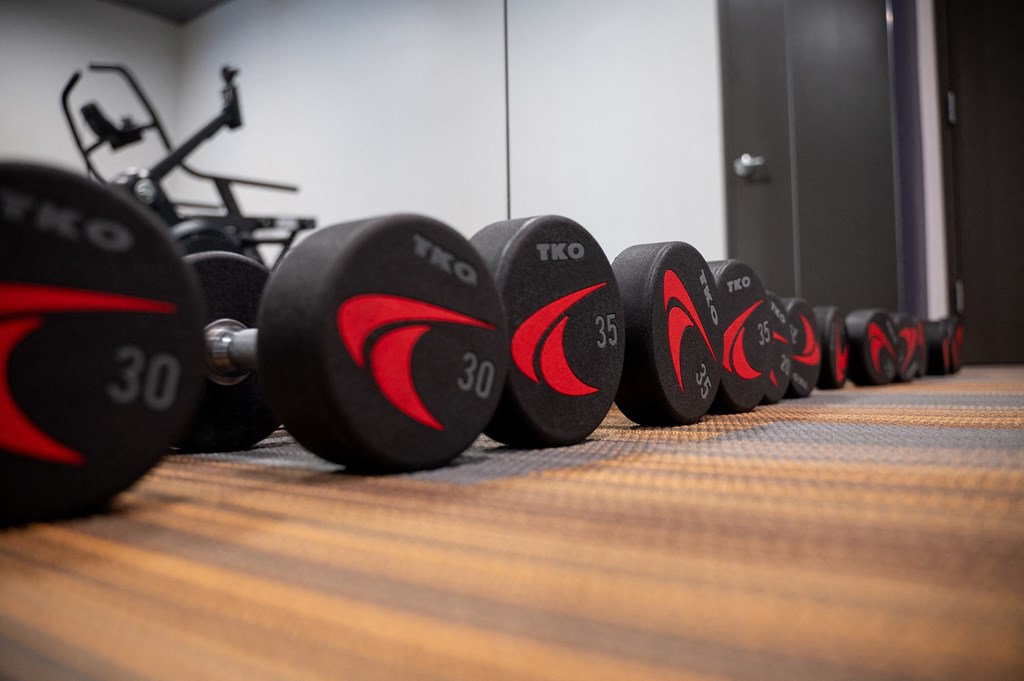 a row of dumbbells on the floor in a gym