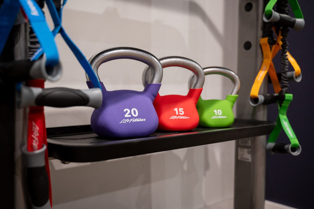 a row of dumbbells on a shelf in a gym