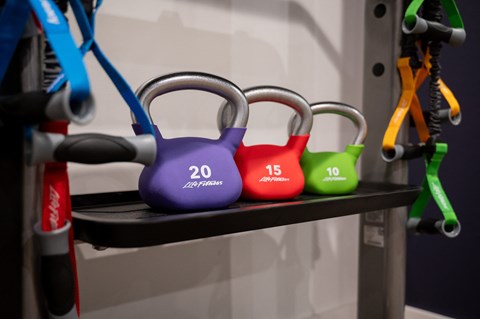 a row of dumbbells on a shelf in a gym