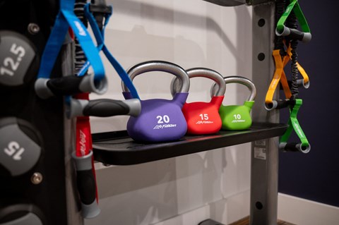 a set of dumbbells on a shelf in a gym