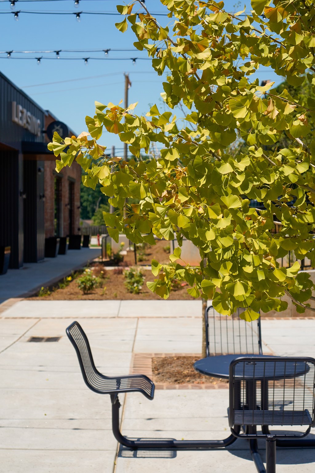 A tree with yellow leaves is in the foreground of a sidewalk with a bench and table.