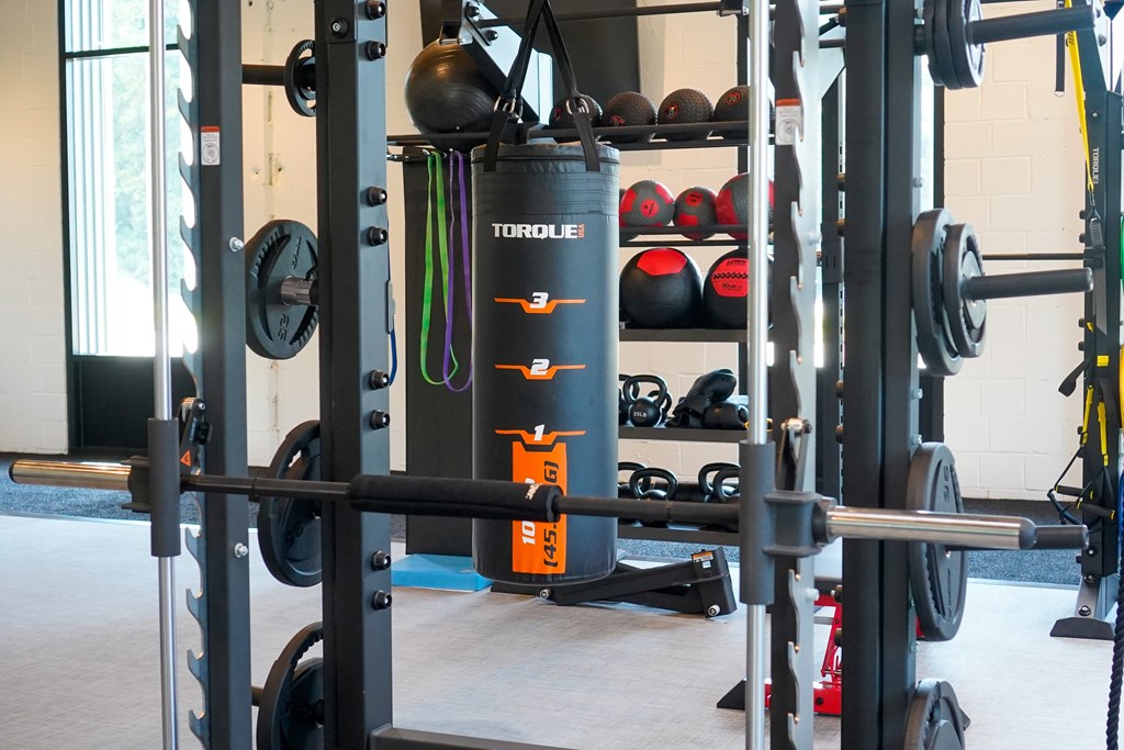 A Torino weight stack is in the foreground of a gym.