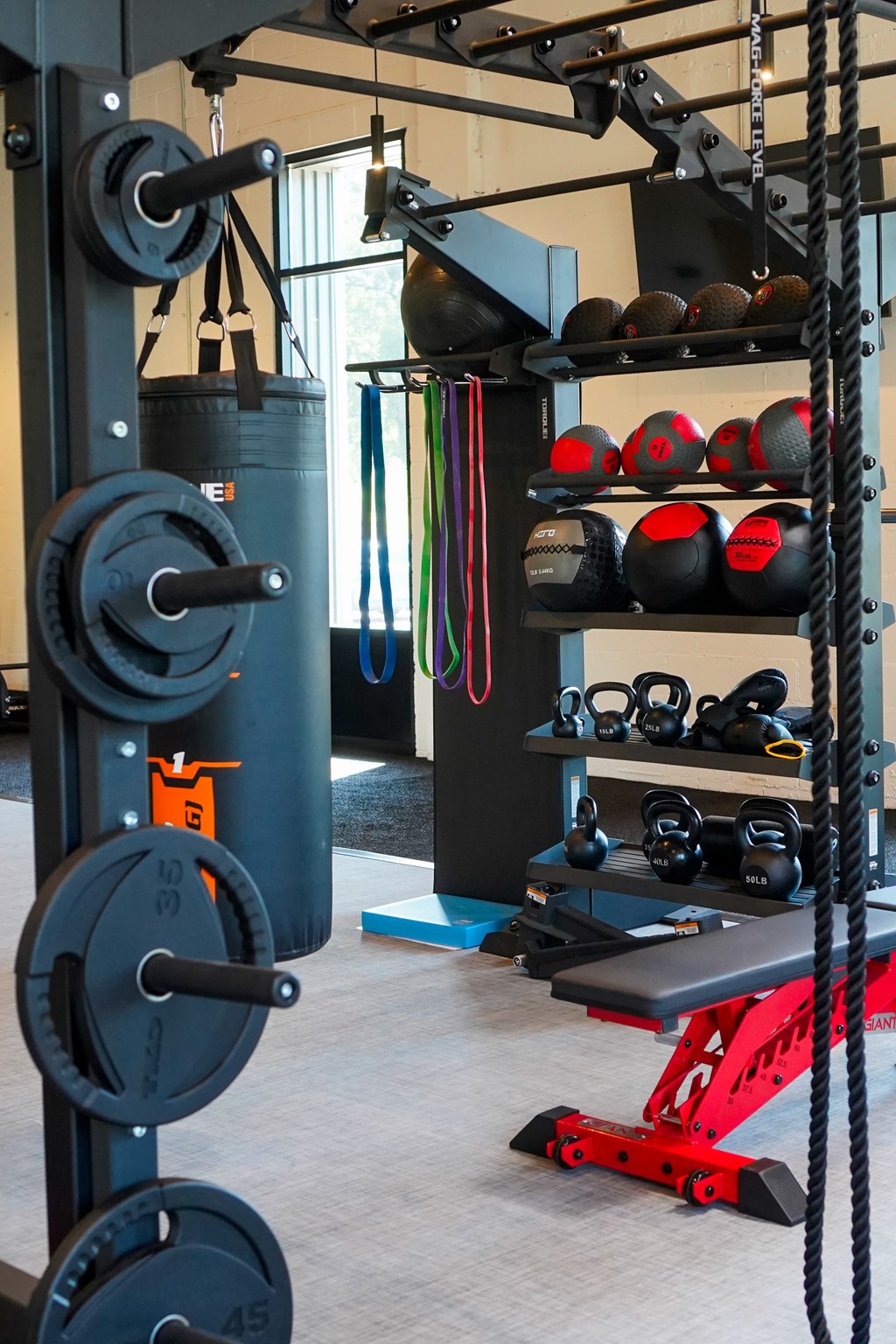A gym with a weight rack, a bench, and a punching bag.