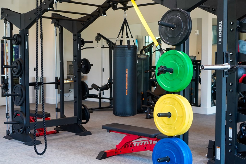 A gym with a variety of equipment including a weight bench, barbells, and a punching bag.