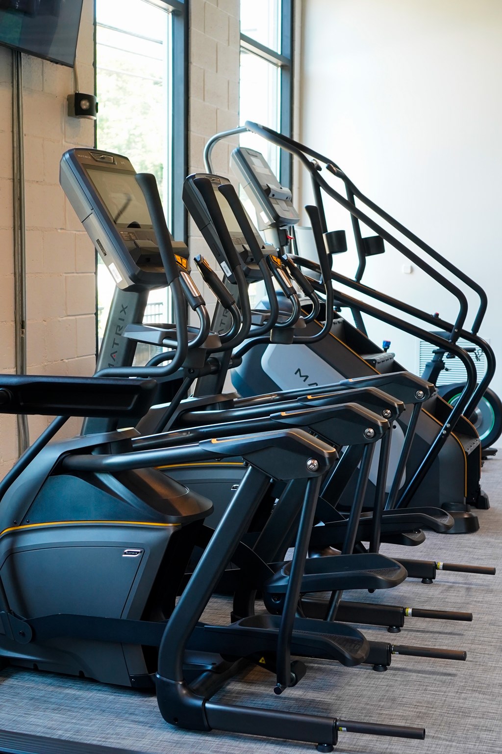 A row of treadmills are lined up in a gym.