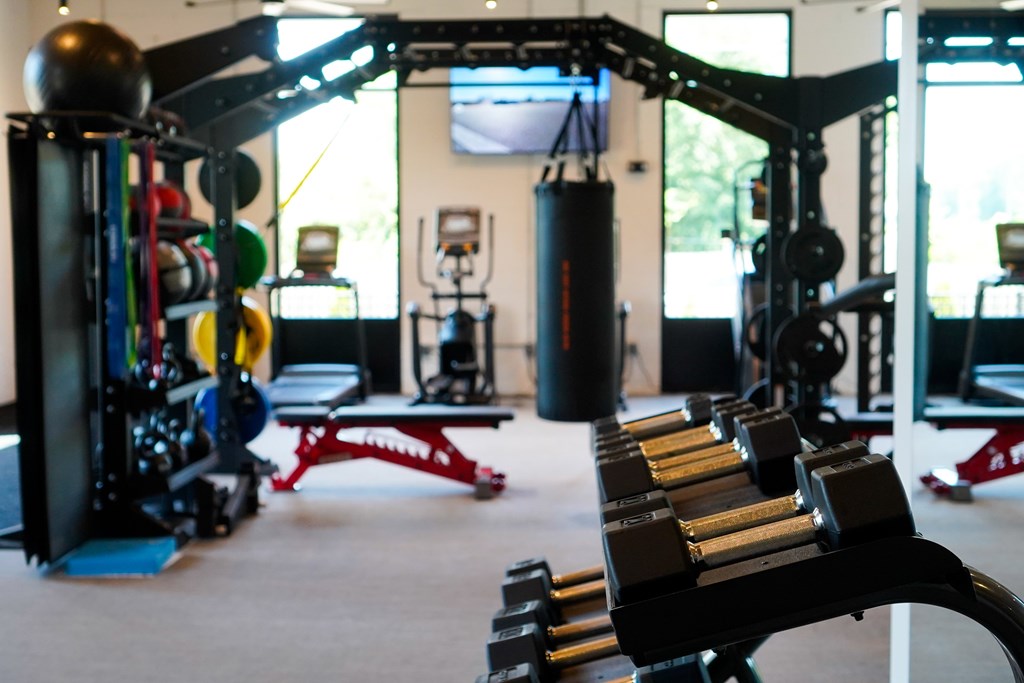 A gym with a variety of equipment including a bench press, a squat rack, and a punching bag.