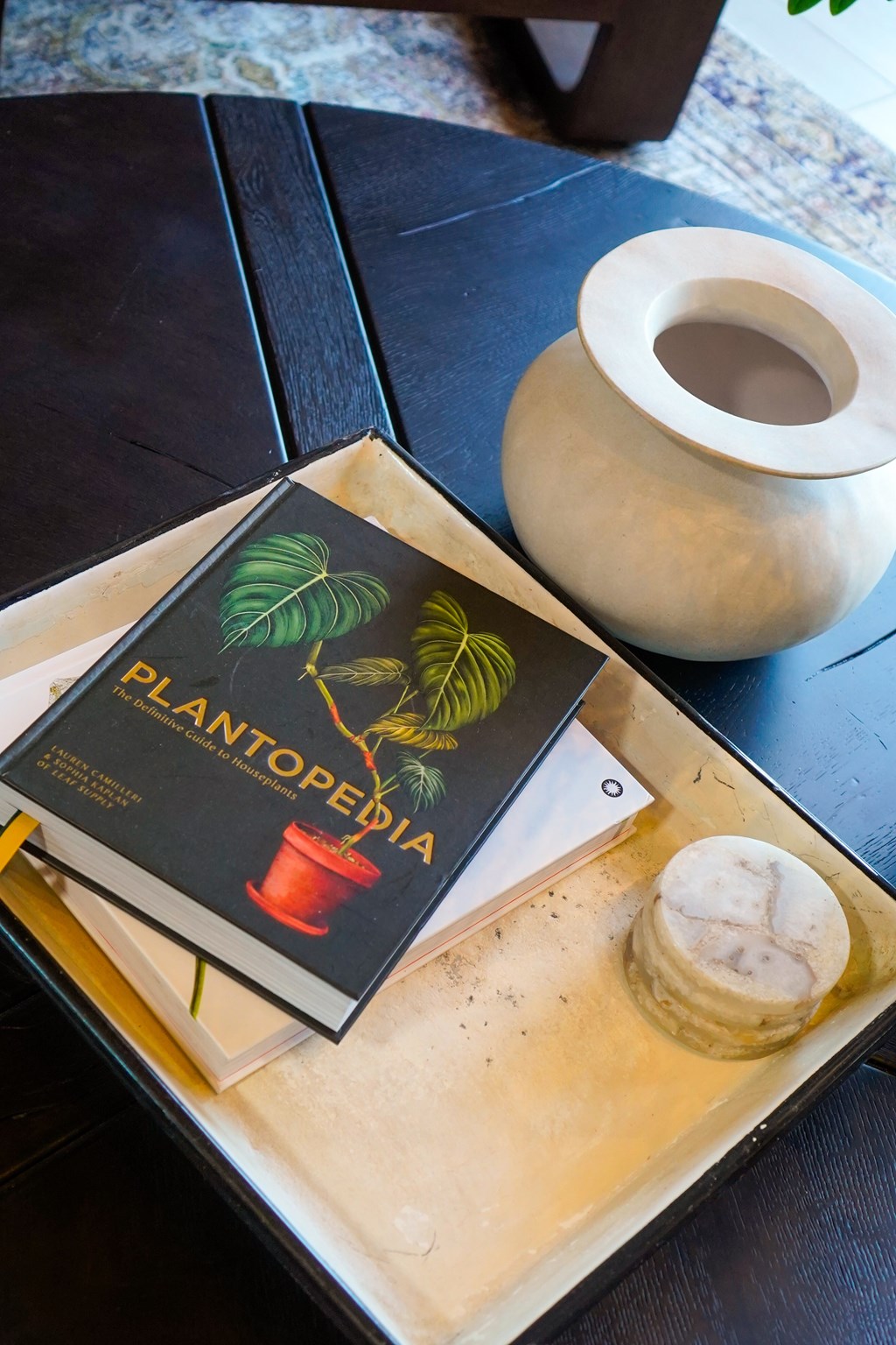 A book titled "Plantopedia" is on a wooden surface next to a pot.