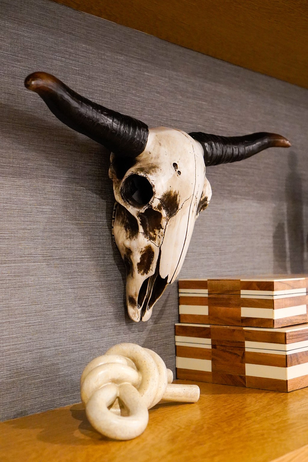 A skull with horns is mounted on a wall above a stack of books and a white knotted object on a wooden surface.