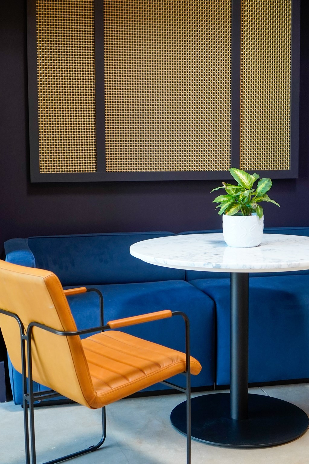 A plant sits on a table in front of a blue couch.