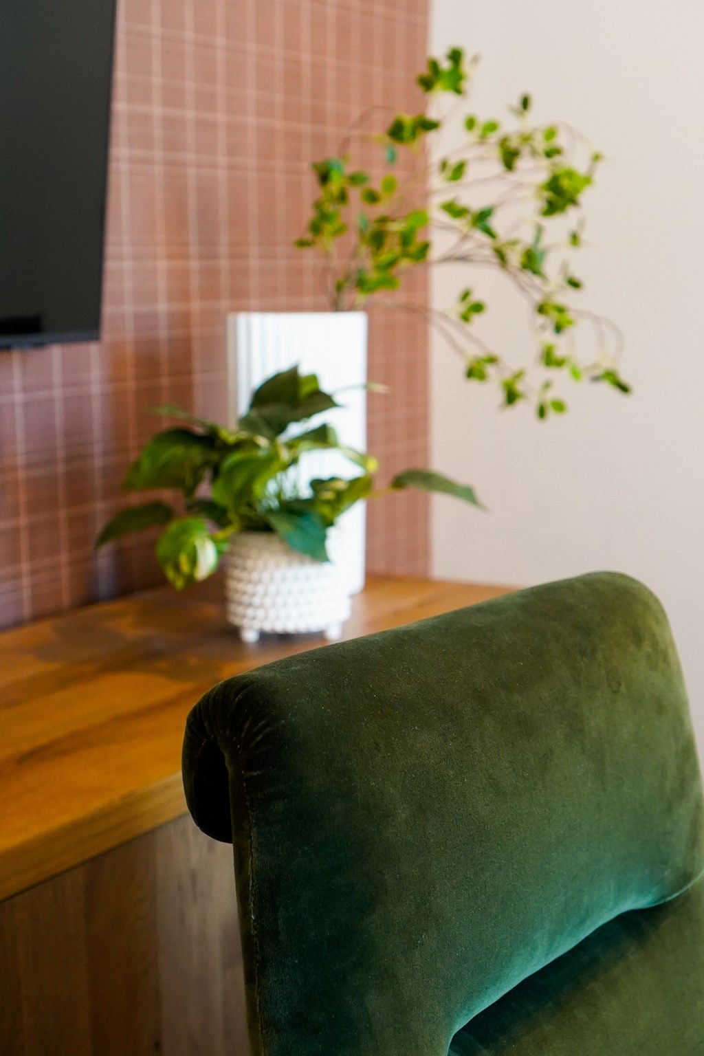 A green chair sits in front of a plant.