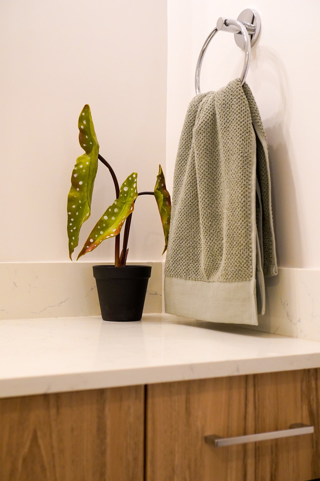 A green plant in a black pot sits on a white countertop next to a towel rack.