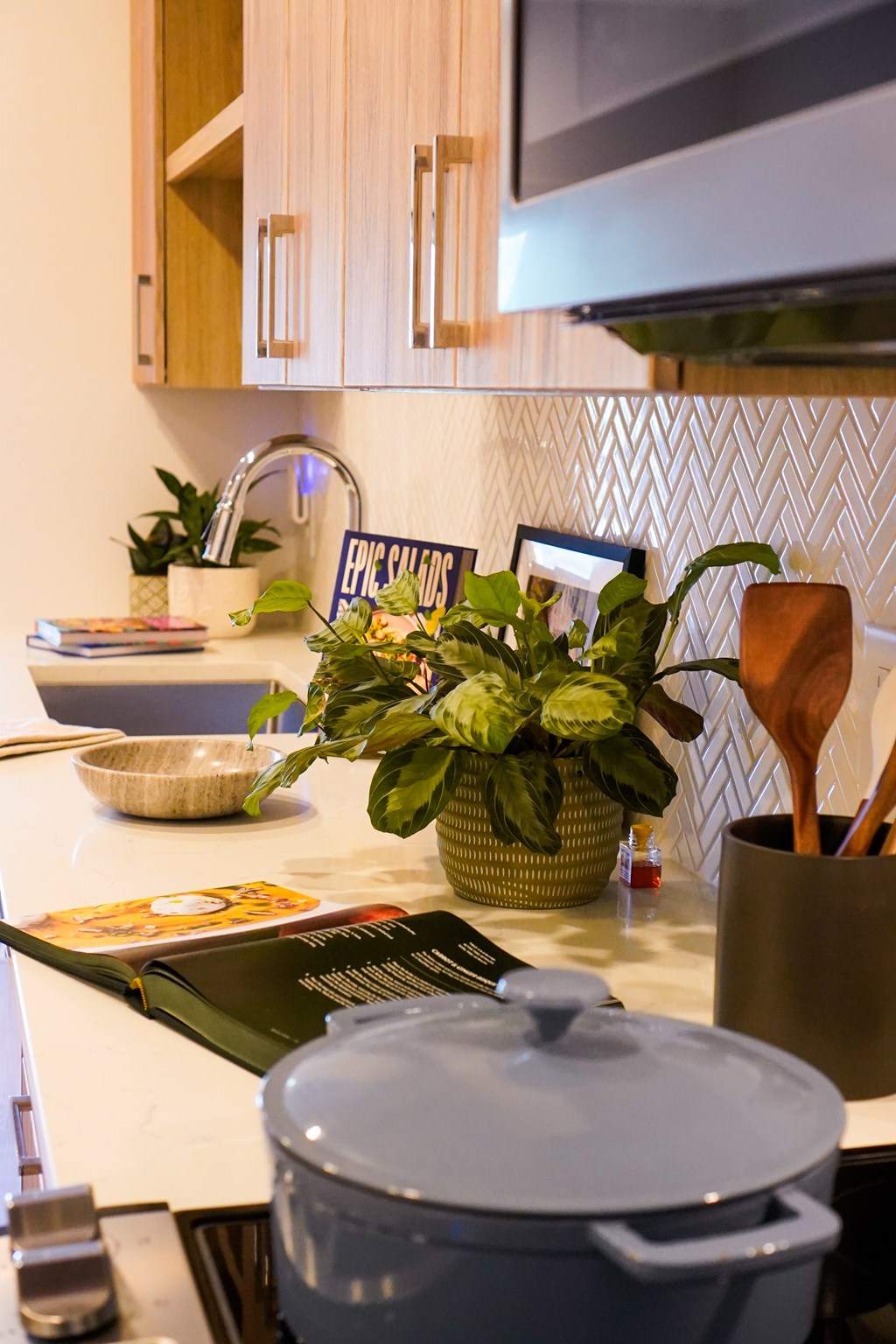 A kitchen counter with a pot, a plant, and a magazine.