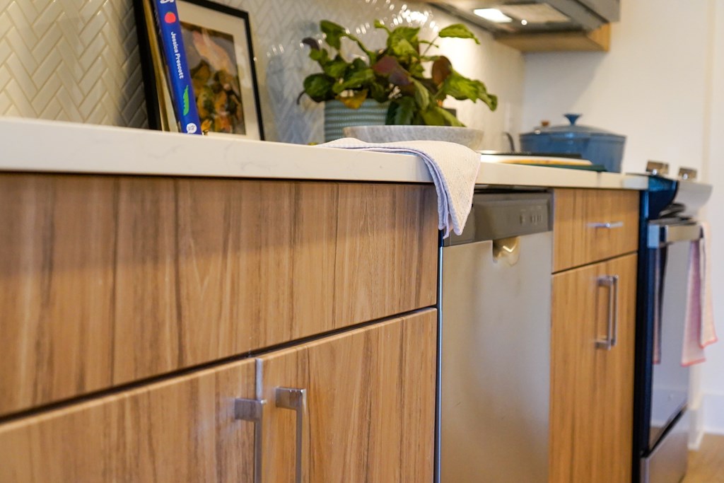 A kitchen with wooden cabinets and a plant on the counter.