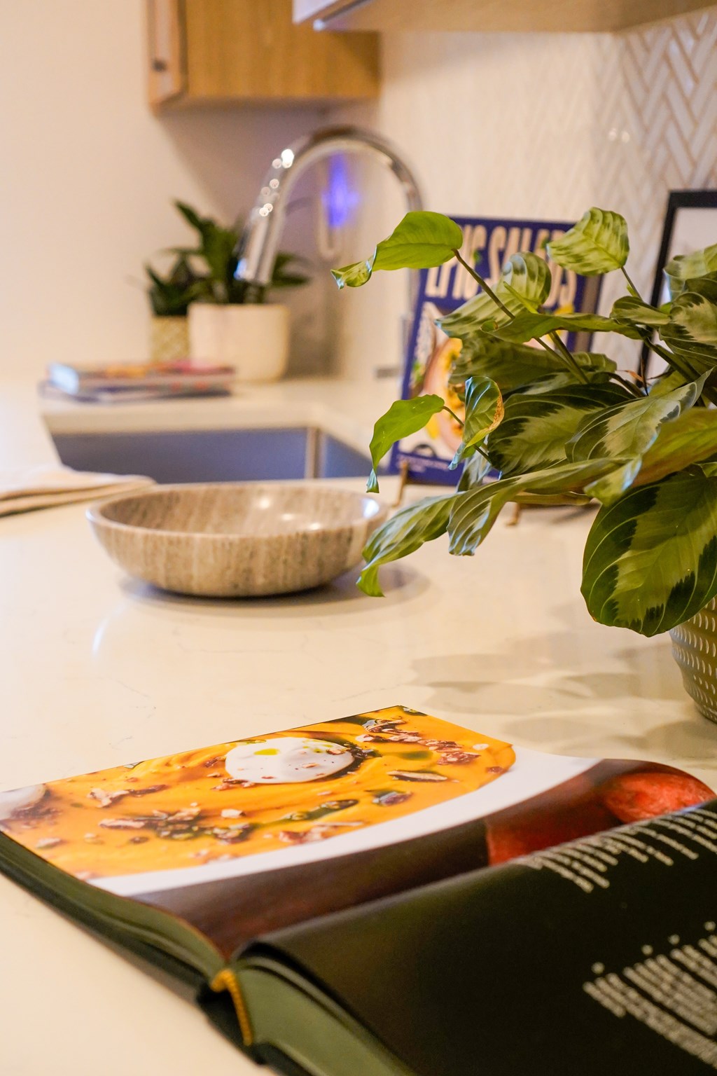 A book is open on a table with a bowl and a potted plant.
