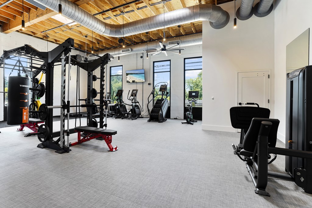 A spacious gym with a variety of equipment including a squat rack, bench press, and a treadmill.