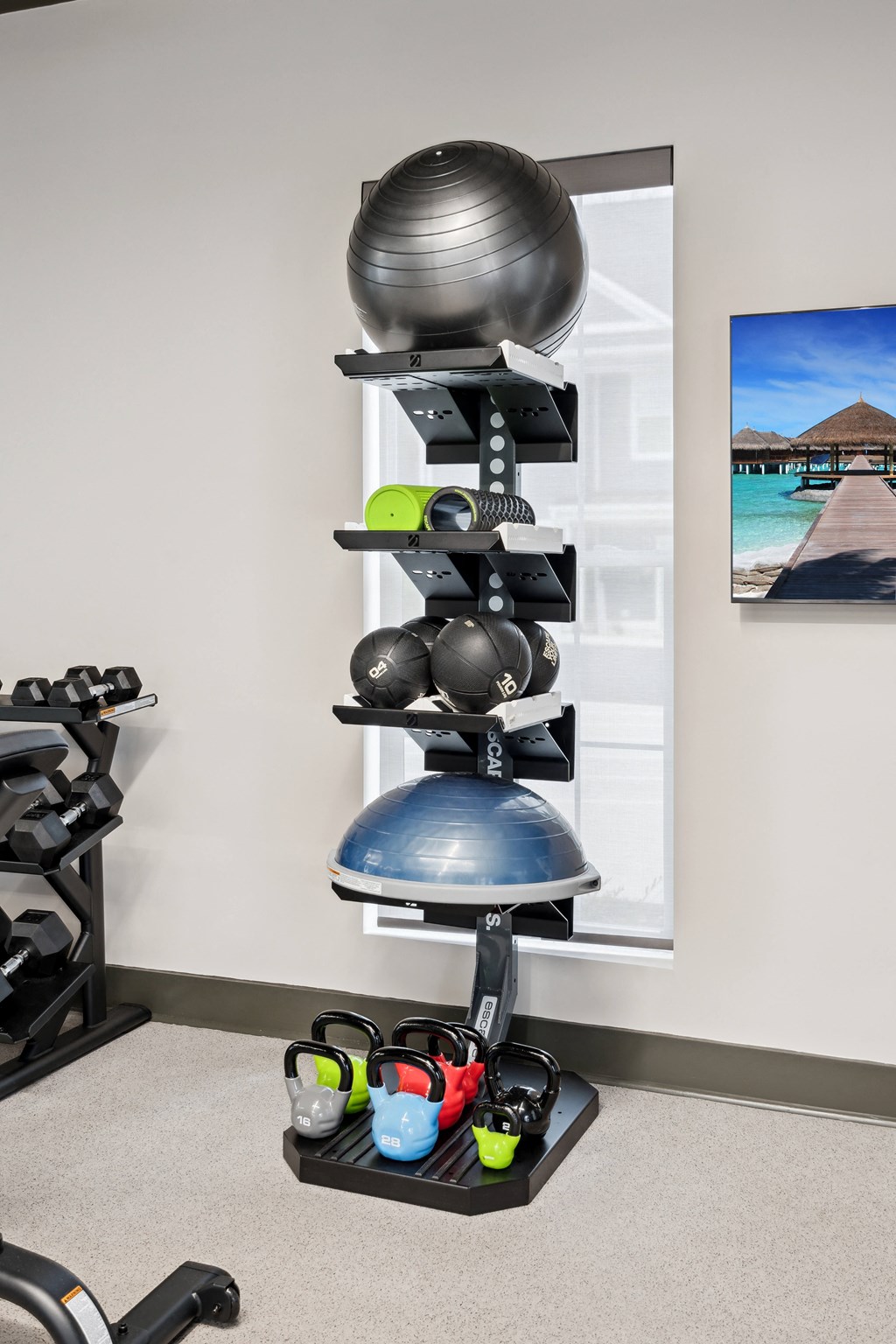 a gym with weights and a punching bag on a rack